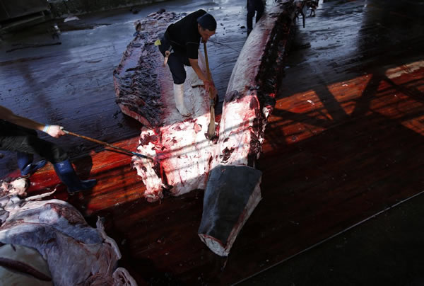 ձɱһͷ๾־һһȲڵĿʼ