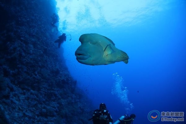 ΣϲϢɺֳơɺͼԺооԱ֣޲ʿṩ