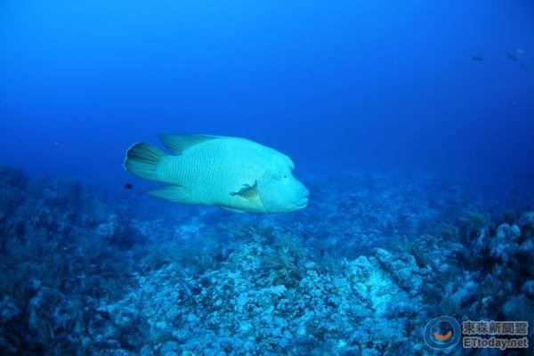 ΣϲϢɺֳơɺͼԺооԱ֣޲ʿṩ