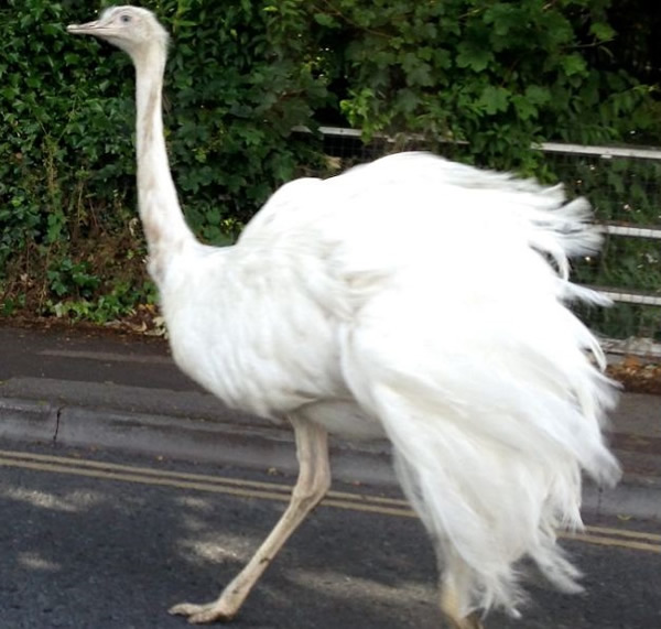 ��������3Сʱ�����ڳɹ���Χ����