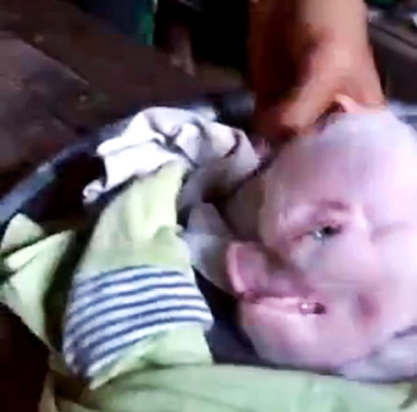 ӰվLiveLeakһΡͷӰƬ