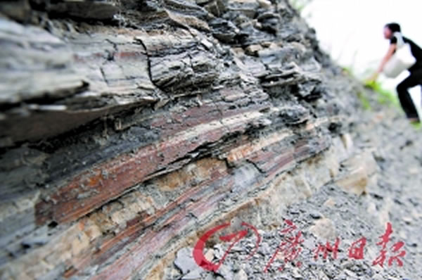 三水恐龙蛋化石就在这附近发现