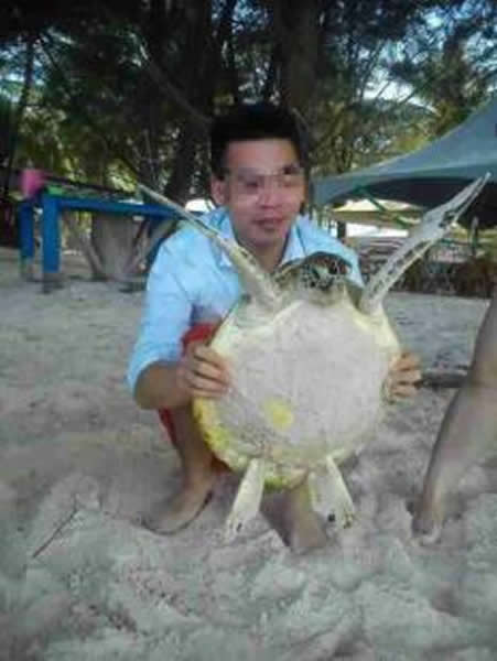 马来西亚沙巴导游硬抓海龟上岸供游客合影