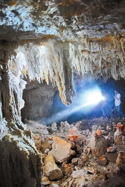 钟乳石被大量采割