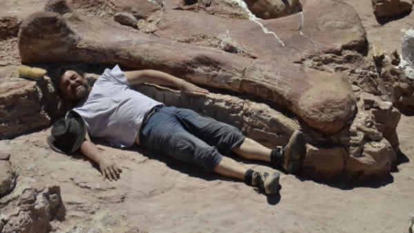 阿根廷博物馆展出世界最大恐龙“泰坦巨龙”化石