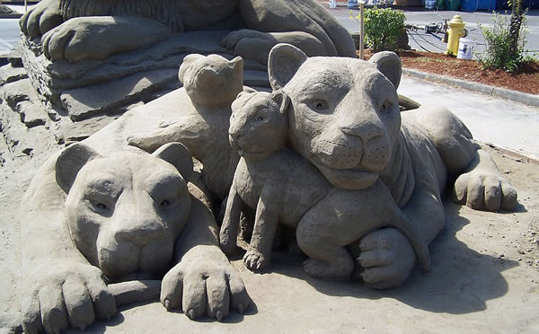 Ӣ49ұޡǰйءΣͬʱ˾ɳ