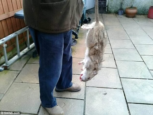 Ӣ�����س��־��ͳ�������