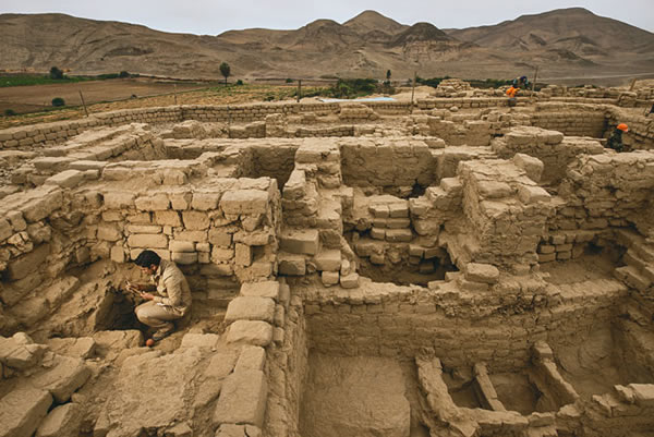 �ڴ��۸��ӵ�Ĺ���У�����ѧ���ޱ���‧Ƥ���ض�‧��������������һ���������Ǳ�ɽ������ʮ�ָ��������ϸ��ɴ��Ҳ���ڵصױ��������ꡣ P