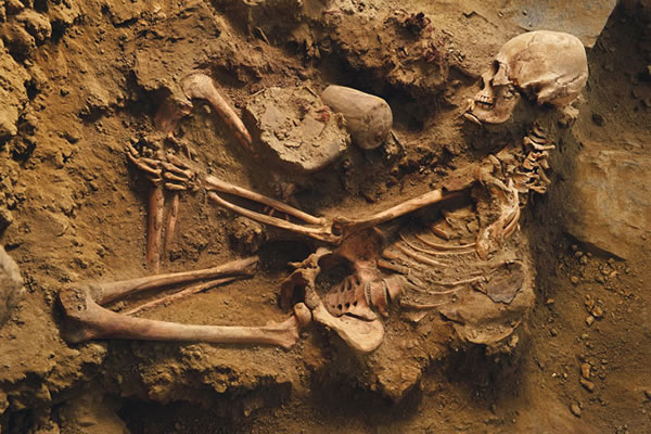 ��һǧ����ǰ������������������������������ػ�������Ĺ���е��䱦�������԰���һ�����Ӻ�һ����«�� Photograph by Robert Clark