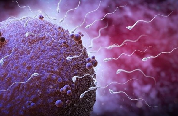 英国研究:中年男性精子生育机会与年轻人相同