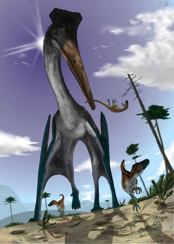Quetzalcoatlus