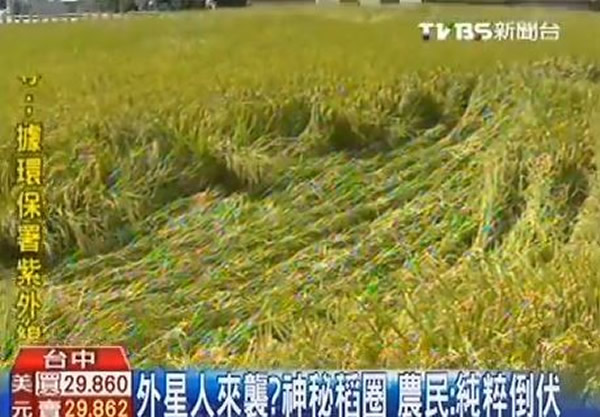 ̨�г��֡�����Ȧ�� �����˽��٣�