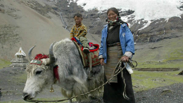 藏人高原适应能力或源于丹尼索瓦人