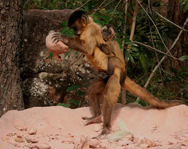 �������ɮñ������ʯ�����ߺ�ɰ������˿���鵼��