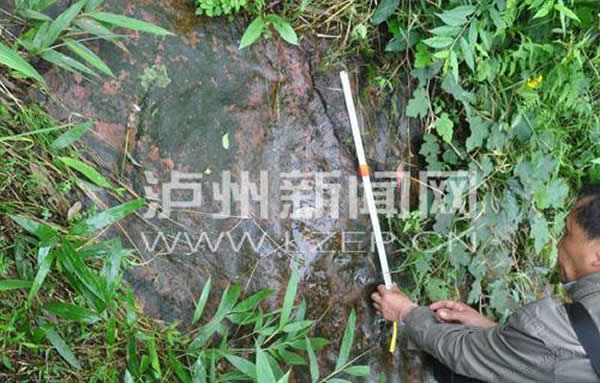 四川泸州发现疑似恐龙脚印化石群