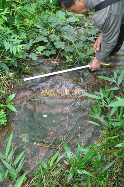 四川泸州发现疑似恐龙脚印化石群