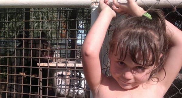 俄罗斯三岁女孩在熊笼前拍照 不幸被熊咬掉一只手