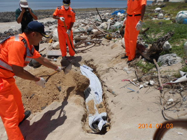海巡人员将死亡海豚就地掩埋,希望海豚能够安息。