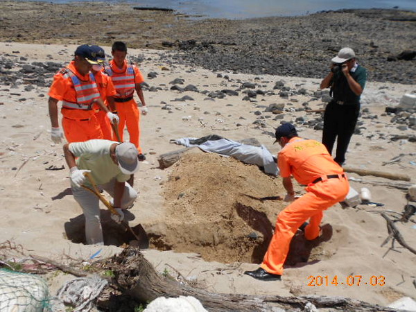 海巡人员将死亡海豚就地掩埋,希望海豚能够安息。