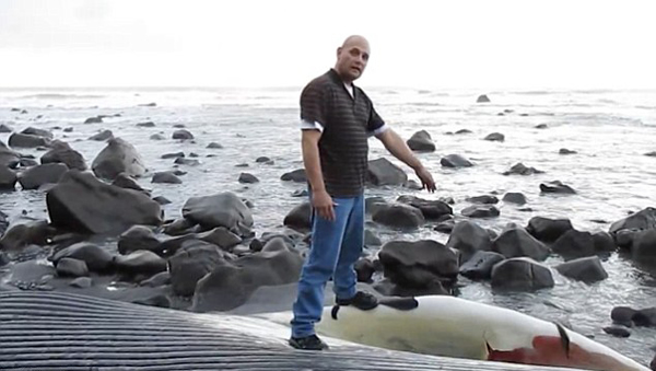 ������������������һͷ�ش�100�ֵ�����ʬ��