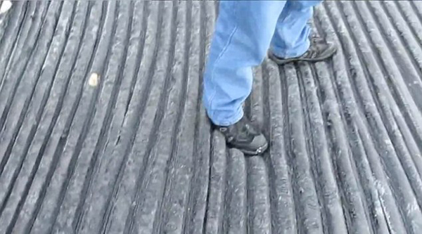 ������������������һͷ�ش�100�ֵ�����ʬ��