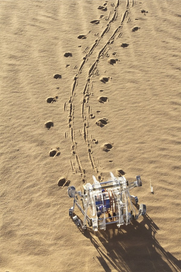 蜘蛛模型机器人「泰伯特」,身长25公分。摄影:Ingo Rechenberg