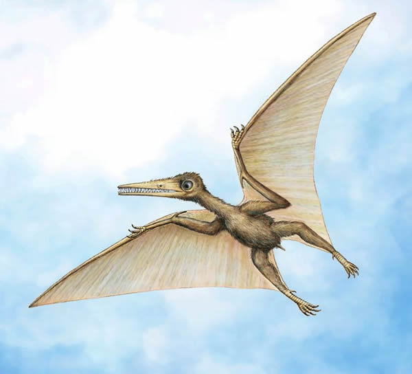 Kryptodrakon16300ǰ٪㑩ա