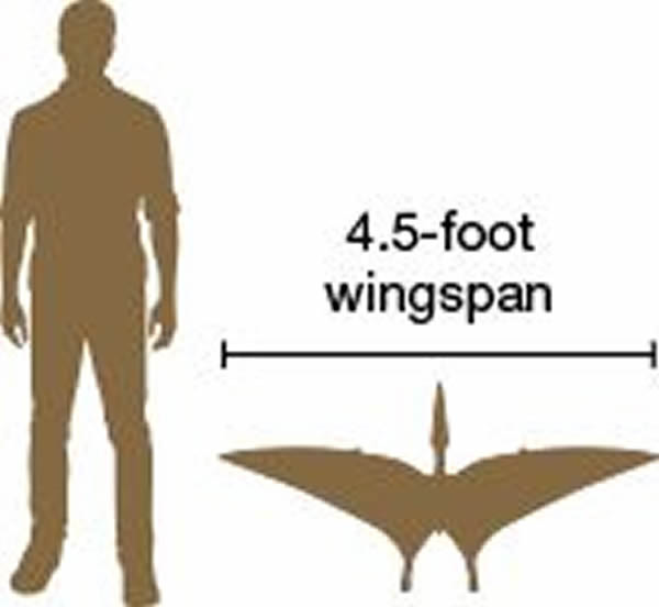 Kryptodrakon16300ǰ٪㑩ա