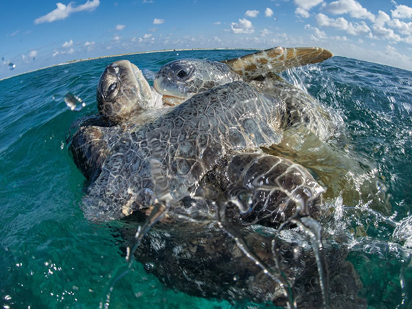 ŷPʱụײҧϣǿܳСʱĽ䣨£ʱ֫βʸĸıϡPӽʢУɶ֧