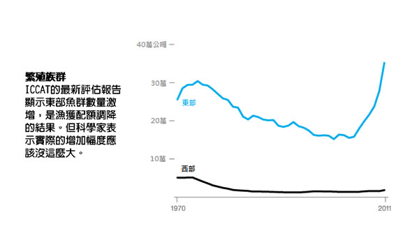 魚中之王——大西洋黑鲔鱼