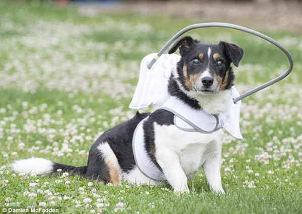 ��˹��������Ѱ��������