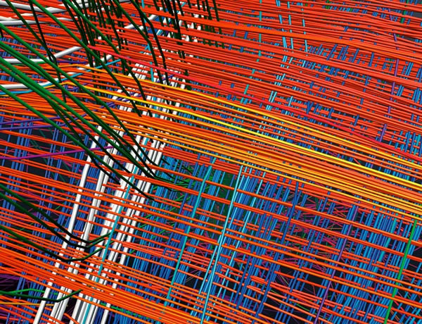 今日的科技让科学家可以深入观察隐藏在大脑内的结构。高解析度影像显示白质纤维以神秘的网格结构排列,仿佛地图上的经纬线。 Image by Van Weeden a