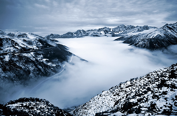 ������Ĵ����������Ҽ���Ȼ���������������������Ե�Ʈ����Զ���������й�����Ĵ���è������֮һ��������һ�ٶ�ֻҰ����è�Դ�Ϊ�ң����ﻹ��������������Ϊ���Ҽ��ص㱣