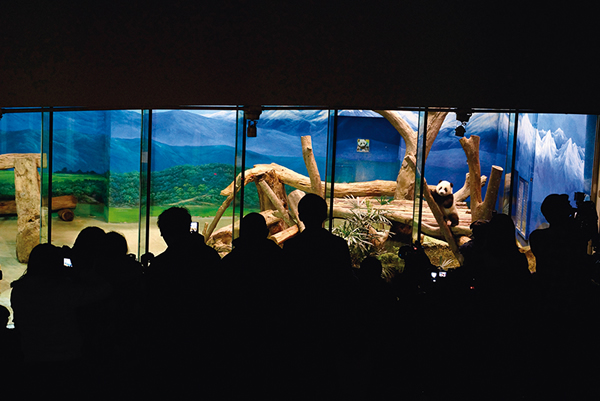 Բ����̨��������Ŀ�Ķ��ﱦ��������ǫ̈̄���صĲι�������̨����������԰������������2��3000�����ο͡���Ӱ��ղ�´�