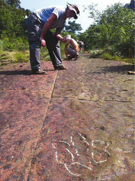 四川泸州古蔺发现中国最长肉食恐龙足迹化石