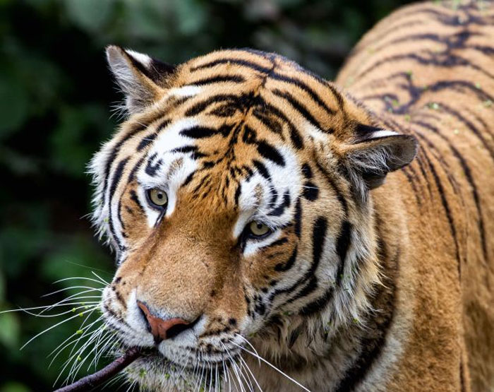 ����籾��������԰��ͷ�ϻ��ǳ�ϲ����Ӿ