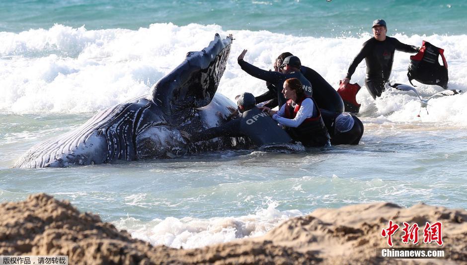 ĴʿݾԮԱһֻǳɳ̲ͷ