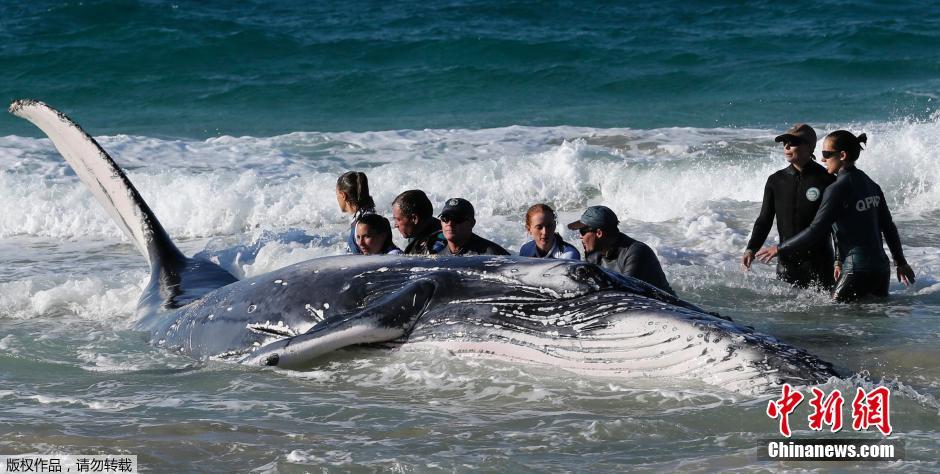 ĴʿݾԮԱһֻǳɳ̲ͷ