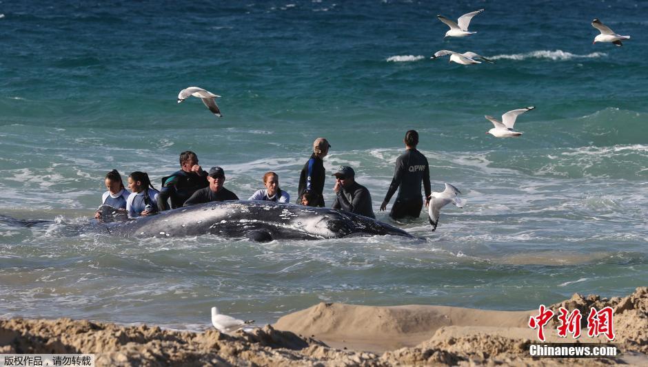 ĴʿݾԮԱһֻǳɳ̲ͷ