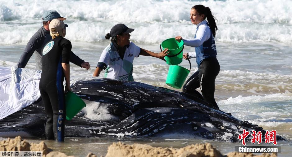 ĴʿݾԮԱһֻǳɳ̲ͷ