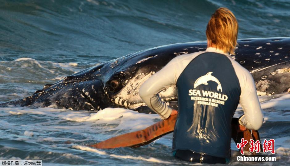 ĴʿݾԮԱһֻǳɳ̲ͷ