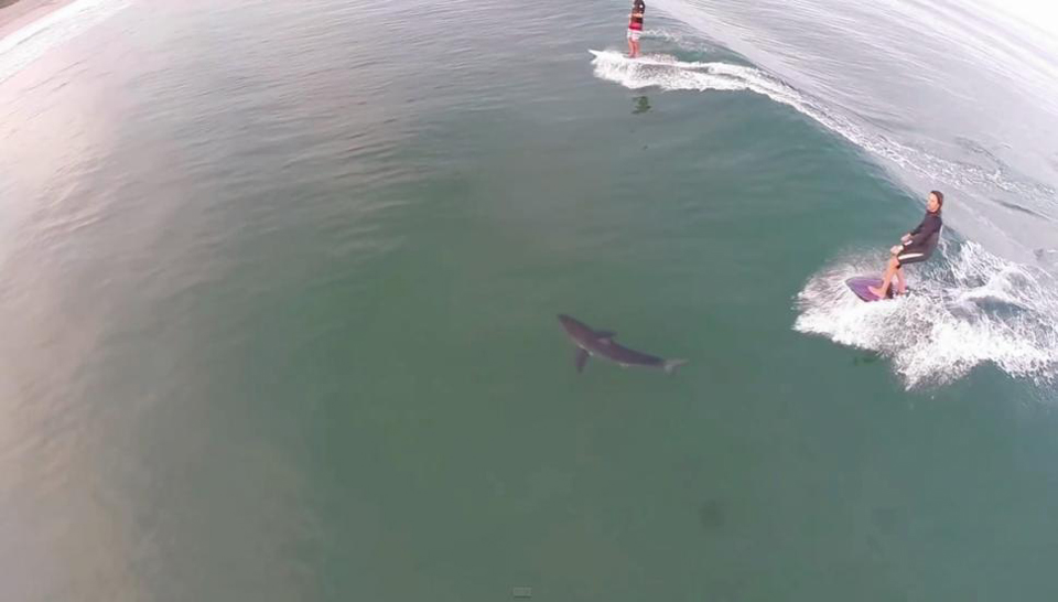 ������������������