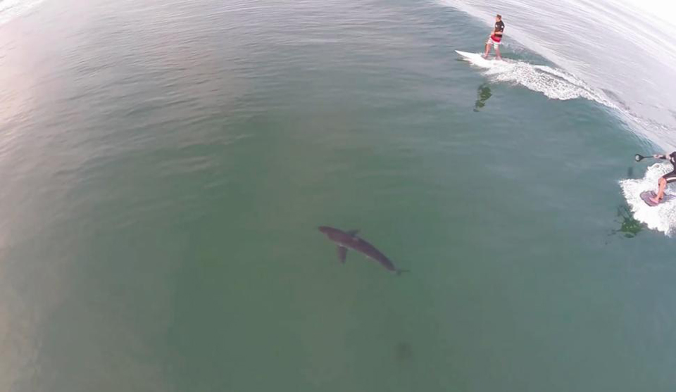 ������������������