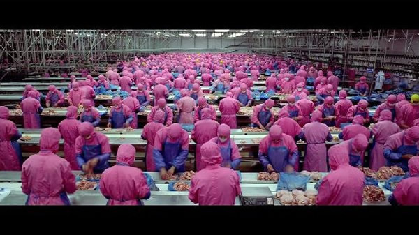 ��֧�ý���¼Ƭ���Գ�Ĭ����Į�����롢��ˮʽ�ػ�����¶��������ʳƷ��ҵ��ʵ�����������˽���Ʒ�����Ĺ��̡�