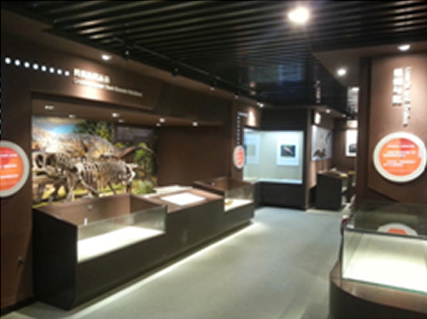 中国古动物馆定于2014年7月12日重新开馆