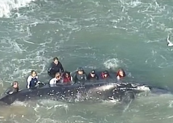 ��Ԯ��Ա�����෬���ԣ��ճɹ�����ͷ��������ˮ����