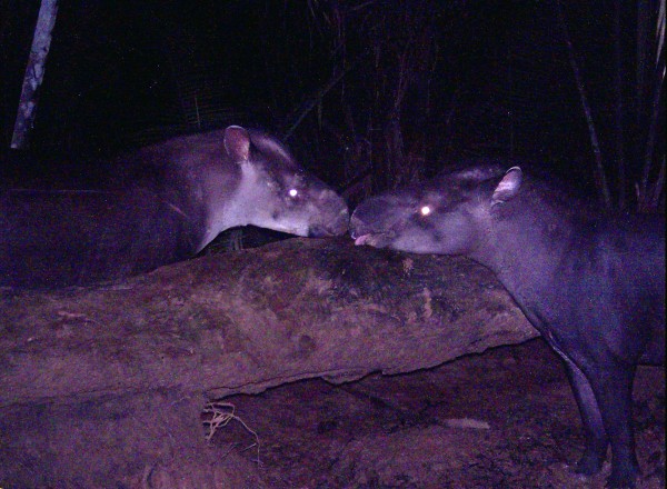 ʽĵֻǲǰѷֵ֡Ӱ Samuel Nienow