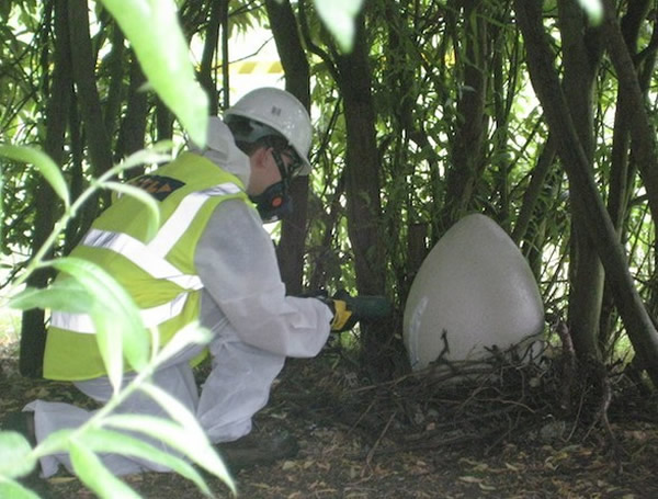 Ӣ��һ��Сѧ��̽�����ǵ����γ��ŵ�Сѧ��������ѧ