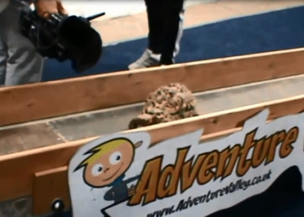 Ӣ������½��20����5.5�׳�ȫ������ڹ�