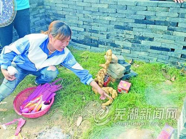 安徽芜湖居民发现稀罕物“黄金龙”形体似生姜似能摆动